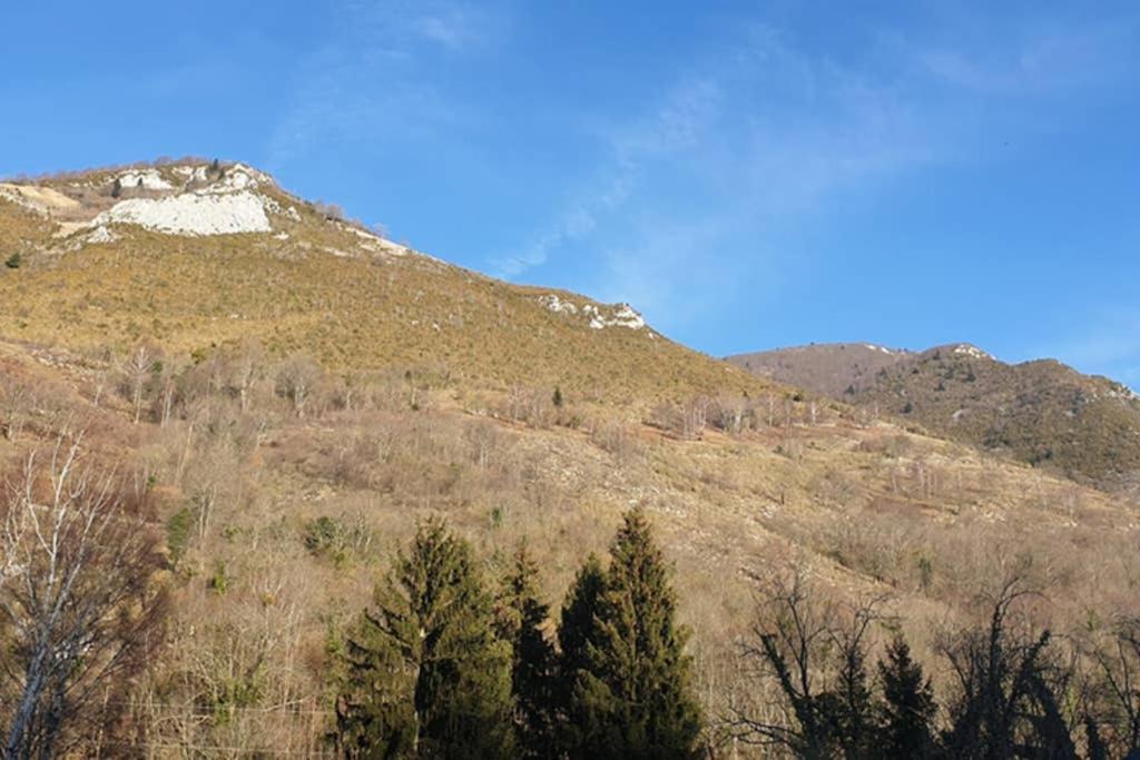 Appartement Cosy Au Pied Du Tourmalet Campan Eksteriør billede